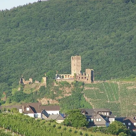 Mosellablick Konukevi Briedern