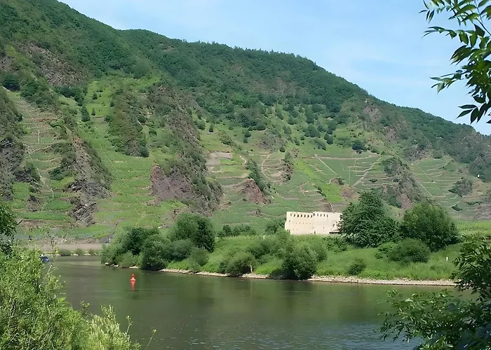 게스트하우스 Mosellablick 3*