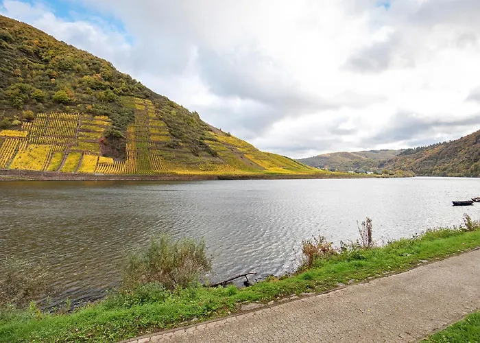 Maison d'hôtes Mosellablick Briedern